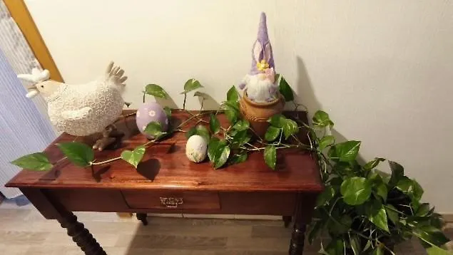 Dandelion Bed & Breakfast